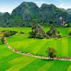 Hoa Lu - Tam Coc - Mua Cave 1 Day Tour