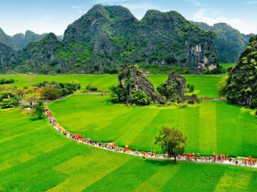 Hoa Lu - Tam Coc - Mua Cave 1 Day Tour