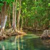 Can Gio Mangrove Forest 1 Day Tour