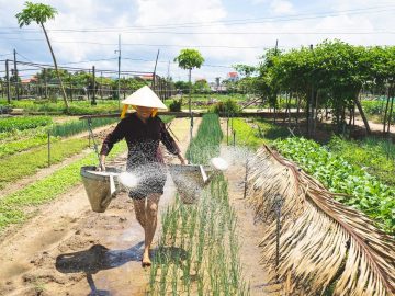 Farming & Fishing Life By Bike